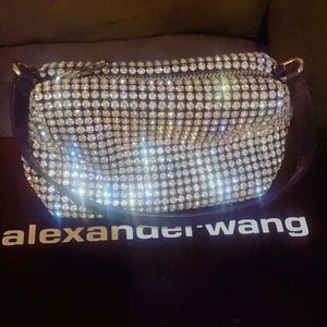 Alexander Wang heiress pouch in rhinestone.